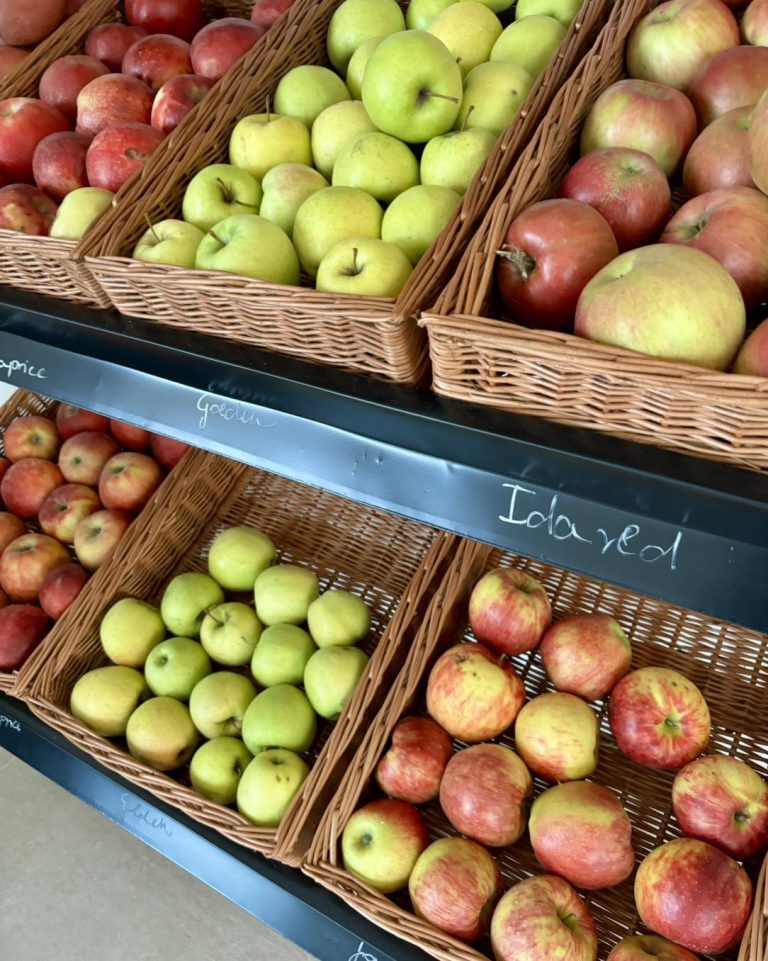 Szezongyümölcsökkel indul a termelői piac