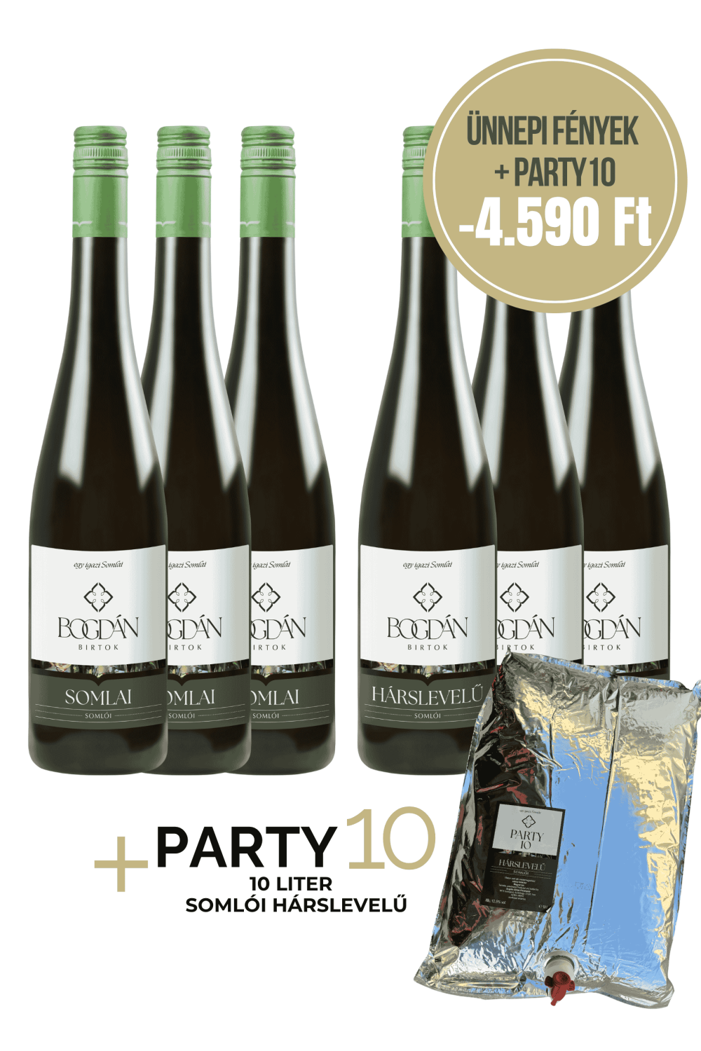 Bogdán Birtok Ünnepi Fények és Party10